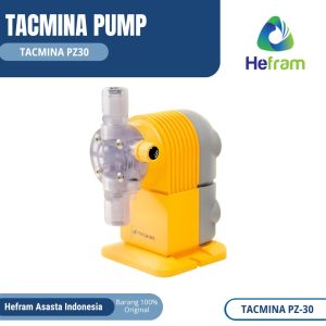 Membran Dosing Pump Tacmina - PZ 30