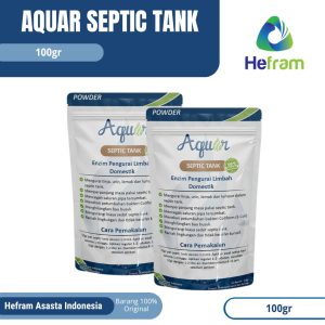 Obat WC Mampet