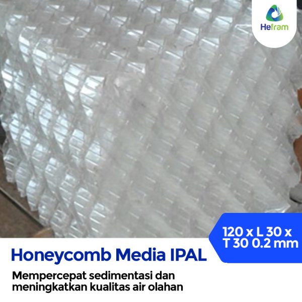 Media Sarang Tawon IPAL