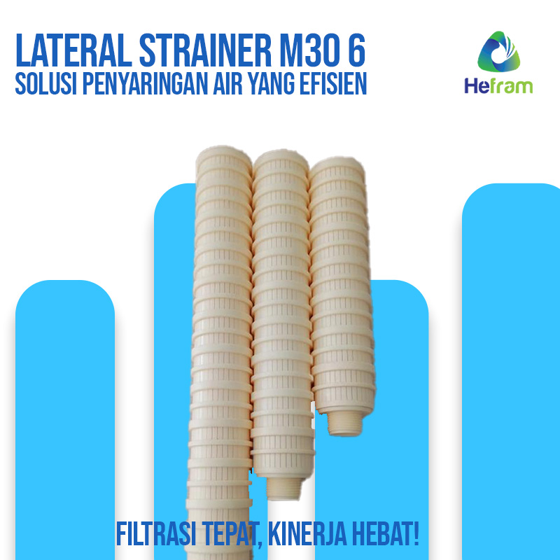 Lateral Strainer - M30 6