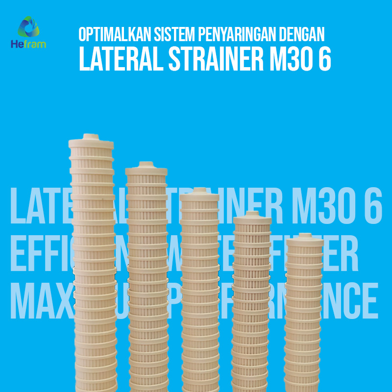 Lateral Strainer - M30 6