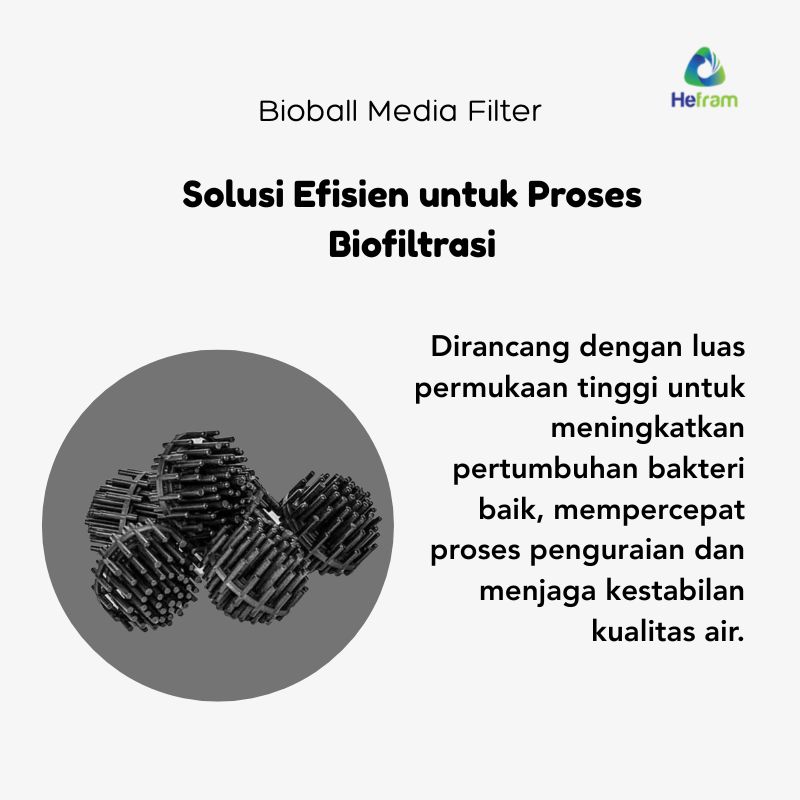 Bioball Media Filter